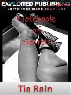 Notebook Of Secrets (ebook)