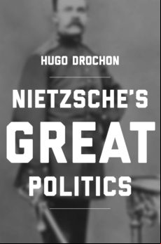 Nietzsches Great Politics (ebook)