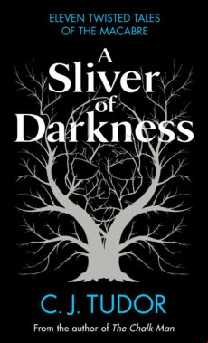 A Sliver Of Darkness (ebook)