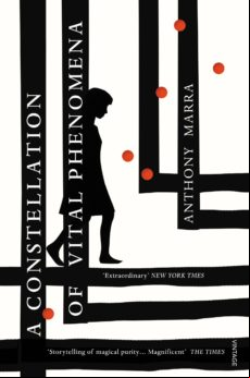 A Constellation Of Vital Phenomena (ebook)
