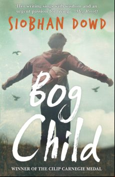 Bog Child (ebook)