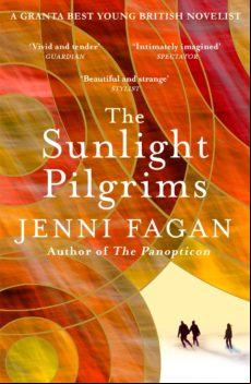 The Sunlight Pilgrims (ebook)