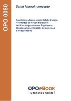 Salud Laboral: Concepto (ebook)