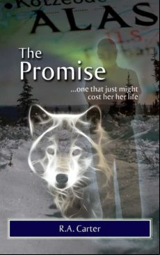 THE PROMISE EBOOK (edición en inglés)