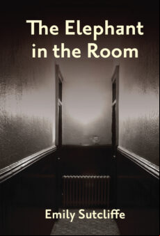 THE ELEPHANT IN THE ROOM EBOOK (edición en inglés)