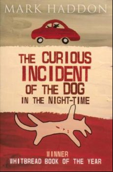 The Curious Incident Of The Dog In The Night-time