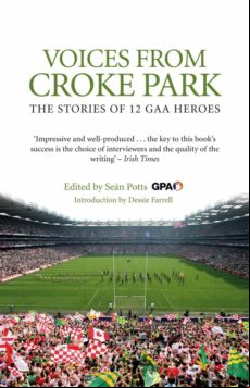 Voices From Croke Park (ebook)