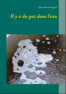IL Y A DU GAZ DANS LEAU EBOOK (edición en francés)