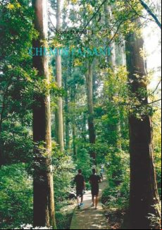 CHEMIN FAISANT EBOOK (edición en francés)