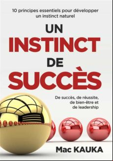 UN INSTINCT DE SUCCÈS EBOOK (edición en francés)
