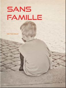 SANS FAMILLE EBOOK (edición en francés)