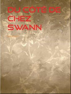 DU CÔTÉ DE CHEZ SWANN EBOOK (edición en francés)