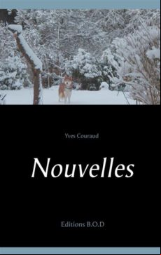 NOUVELLES EBOOK (edición en francés)