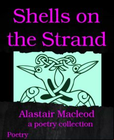 Shells On The Strand (ebook)