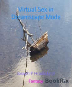 Virtual Sex In Dreamscape Mode (ebook)