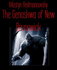 The Genoskwa Of New Brunswick (ebook)
