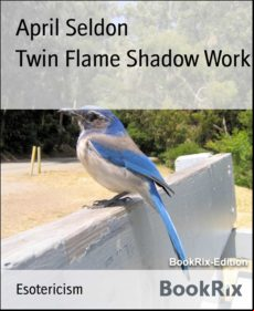 Twin Flame Shadow Work (ebook)