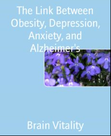 The Link Between Obesity Depression Anxiety And Alzheimers (ebook)