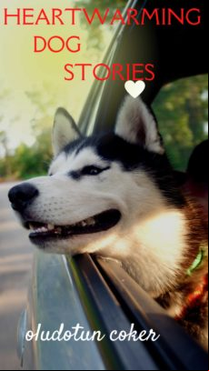 HEARTWARMING DOG STORIES EBOOK