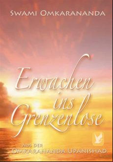 Erwachen Ins Grenzenlose (ebook)