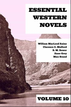 Essential Western Novels - Volume 10 (ebook)