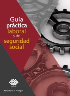 Guía Práctica Laboral Y De Seguridad Social 2020 (ebook)