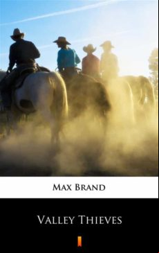 Valley Thieves (ebook)