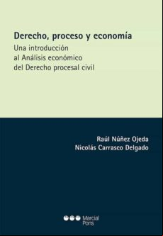 Derecho Proceso Y Economía (ebook)