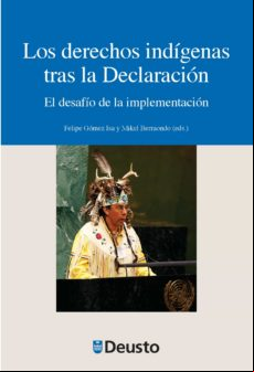 Los Derechos Ind?genas Tras La Declaraci?n (ebook)