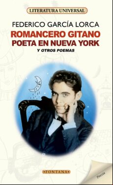 Romancero Gitano / Poeta En Nueva York (ebook)