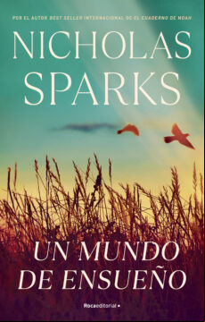 UN MUNDO DE ENSUEÑO EBOOK