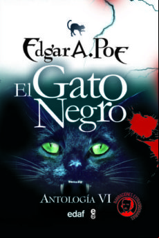 El Gato Negro (ebook)