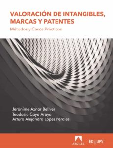 Valoración De Intangible Marcas Y Patentes. (ebook)