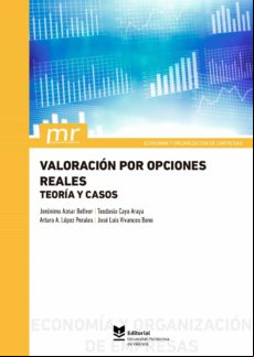 Valoración Por Opciones Reales. (ebook)