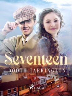 SEVENTEEN EBOOK (edición en inglés)