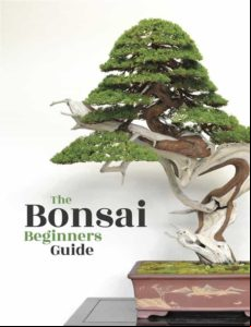 Bonsai (ebook)