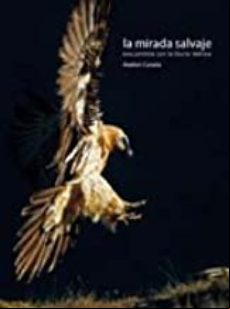 Lecturas Sobre Derecho Del Medio Ambiente Tomo Xi (ebook)