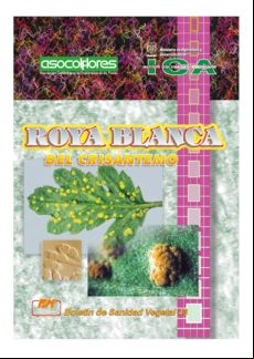 Roya Blanca Del Crisantemo (ebook)