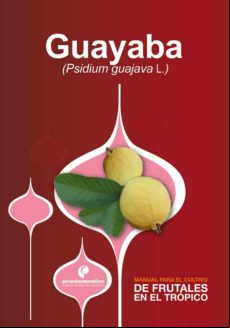 Manual Para El Cultivo De Frutales En El Trópico. Guayaba (ebook)