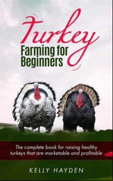 Turkey Farming For Beginners (ebook)