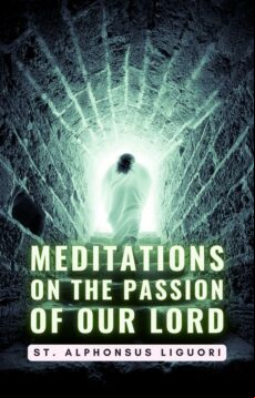 MEDITATIONS ON THE ION OF OUR LORD EBOOK (edición en inglés)