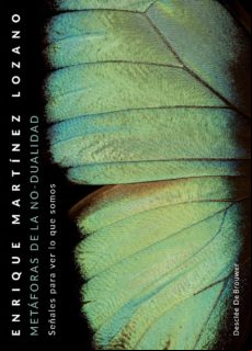 Metáforas De La No-dualidad. Señales Para Ver Lo Que Somos (ebook)