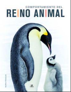 Comportamiento Del Reino Animal