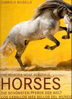 The World S Most Beautiful Horses / Los Caballos Mas Bellos Del Mundo