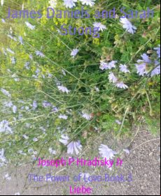 James Daniels And Sarah Strong (ebook)