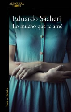 Lo Mucho Que Te Amé (ebook)