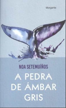 A Pedra De Ambar Gris