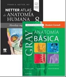 LOTE MINI DRAKE - NETTER GRAY. ANATOMÍA BÁSICA, 2ª ED.+ ATLAS ANATOMIA HUMANA 8ª ED .