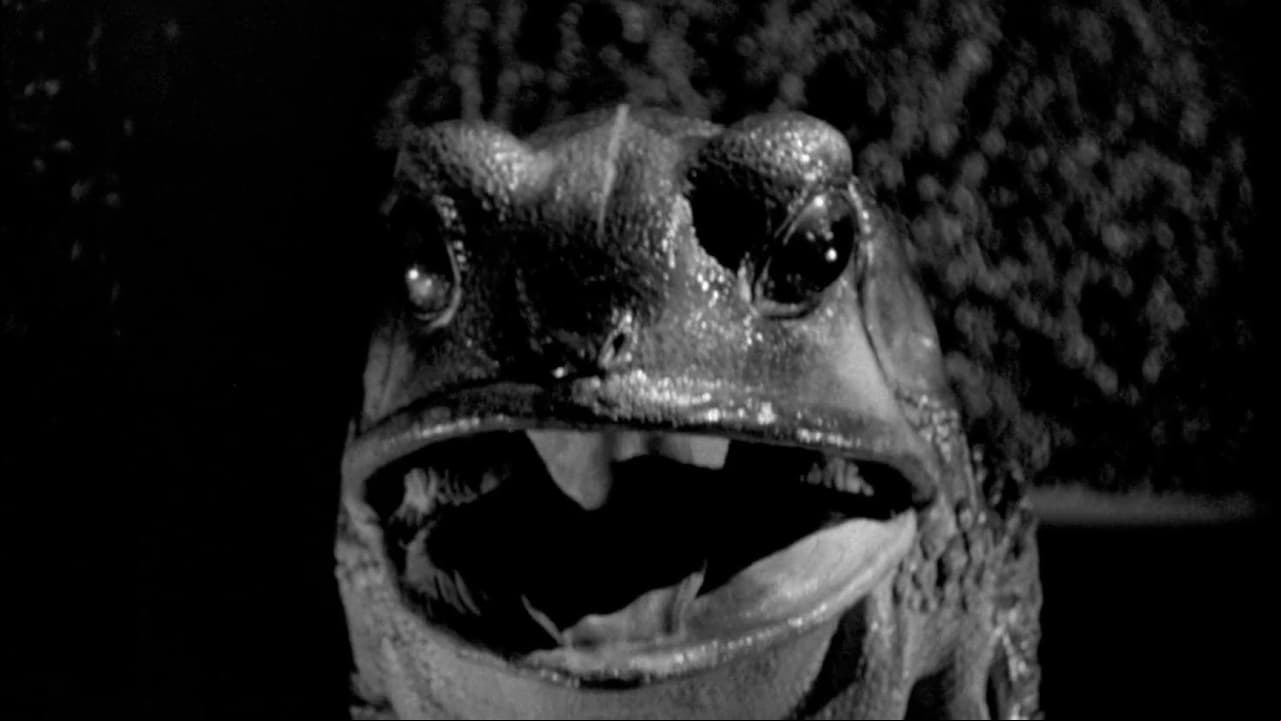 The Maze (El laberinto)
