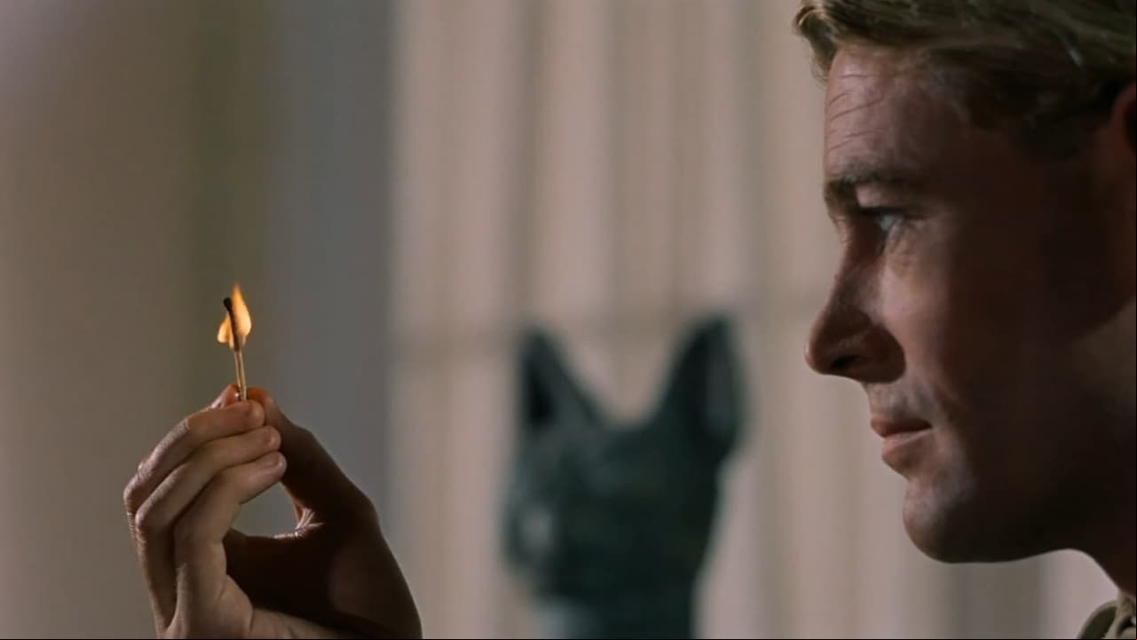 Lawrence de Arabia